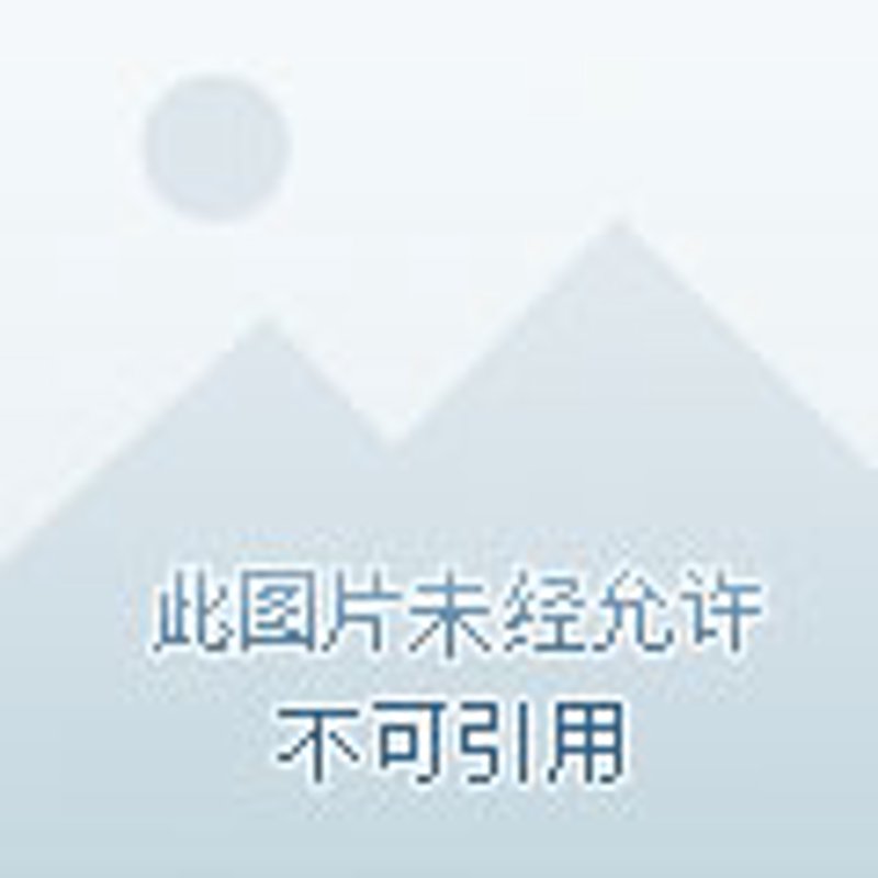 商贸市场中的智慧与创新：才哲贸易的探索之路